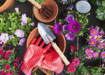 7 Ways To Sport Your Garden Accessories For Fall
