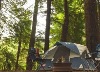 Top 3 Reasons Why You Need Tarps for Camping