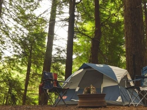 Top 3 Reasons Why You Need Tarps for Camping