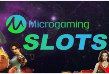 How to Play Microgaming Slot Games
