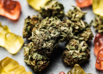 Everything You Need to Know About CBD Gummies