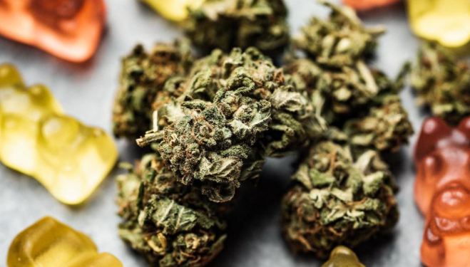 Everything You Need to Know About CBD Gummies