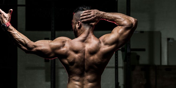 The Correct way to Stacking Cycle with Boldenone