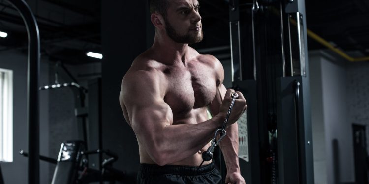 Want to Be Stronger? – Take Testosterone Enanthate Cycle