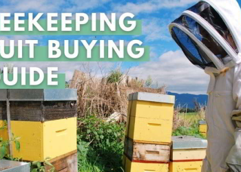 Choose your first beekeeping suit: complete guide 