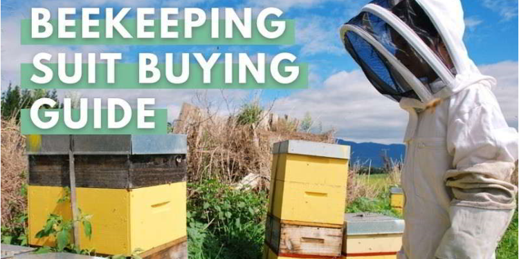 Choose your first beekeeping suit: complete guide