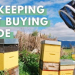 Choose your first beekeeping suit: complete guide 