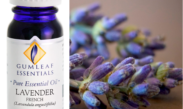 Incorporating Essential Oils into Your Wellness and Travel Routine