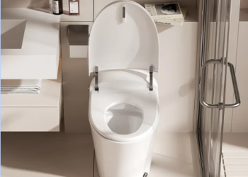 Elevating Bathroom Comfort with a Toilet with Built-In Bidet: The Horow T10A Experience