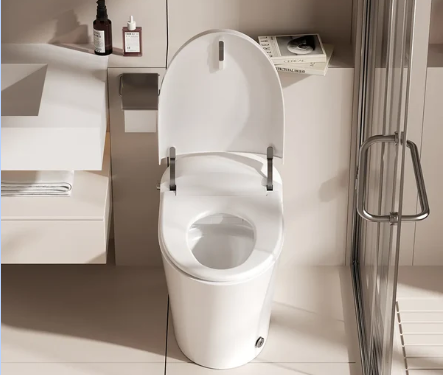Elevating Bathroom Comfort with a Toilet with Built-In Bidet: The Horow T10A Experience